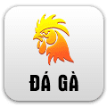 da ga 1